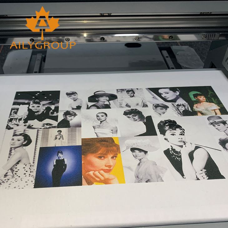 4030 dtg printer (13)